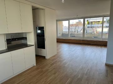 First rental: Newly renovated 6.5 room maisonette apartment with two terraces
