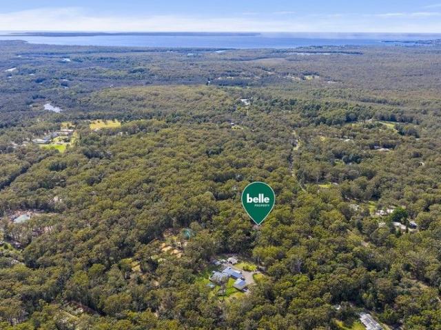 Expansive Woollamia Wonderland with instant income