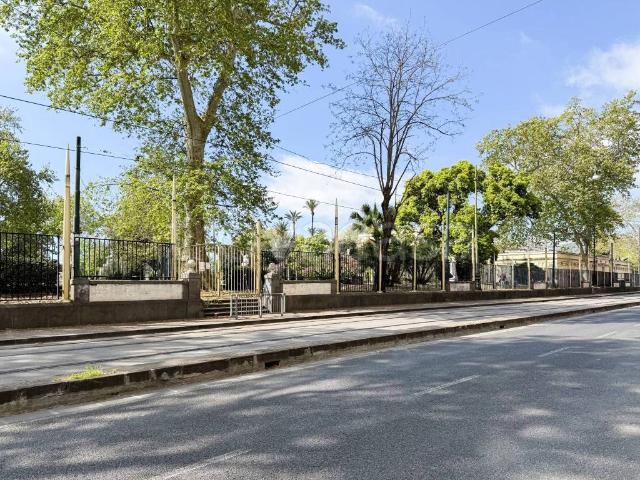 Fittasi quadrilocale a Napoli, Chiaia