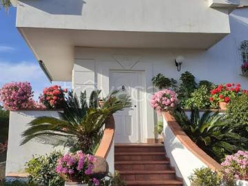 Appartamento in affitto a Lusciano - Terrazzo