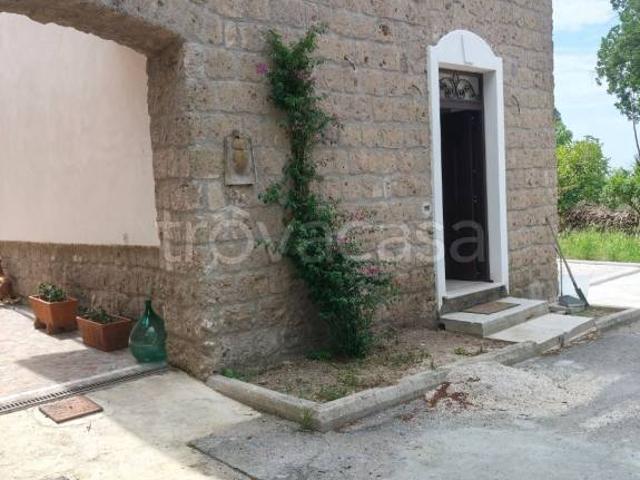 Fittasi stabile/palazzo a Caserta via Tifatina, 129, Petrarelle