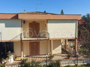 Laura Capaccio, Salerno Campania - Giardino