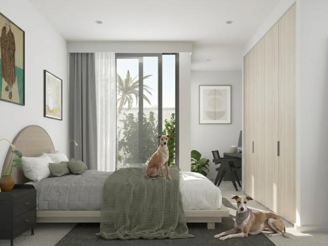 Fitzroy North Townhouses High Ceilings & Big Rooms