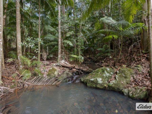 Five Acres of Waterfalls & Palms Trees