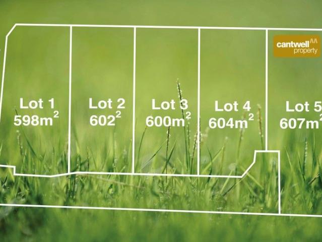 Five Premium Lots with Elevated Views