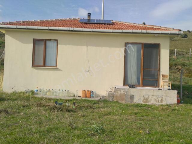 Fiyat Düştü Fırsat 3.179 M² 67 M² 2+1 Ev Denize Sıfır Paşaliman