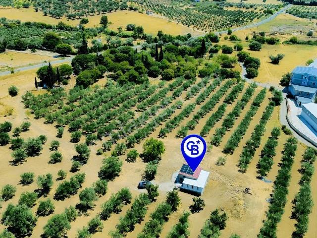 Foça Yenibağarası Mah. Kiralık Müstakil Ev