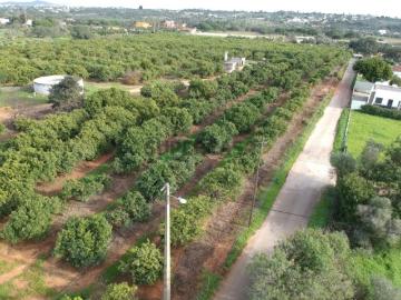 Fonte Santa Terreno de 42,350m2 com Projeto Aprovado para venda