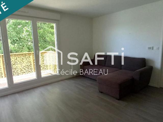 Fontenay le Vicomte Vente Appartement 91