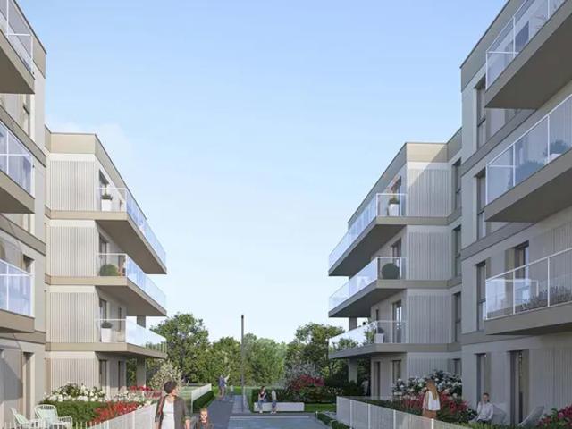 Fokus Bielany