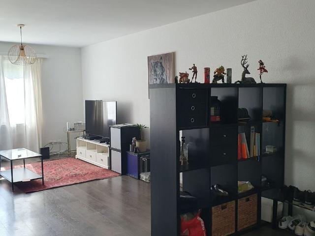 FOR CAT LOVERS IN WETZIKON ZH, FURNISHED, TEMPORARY