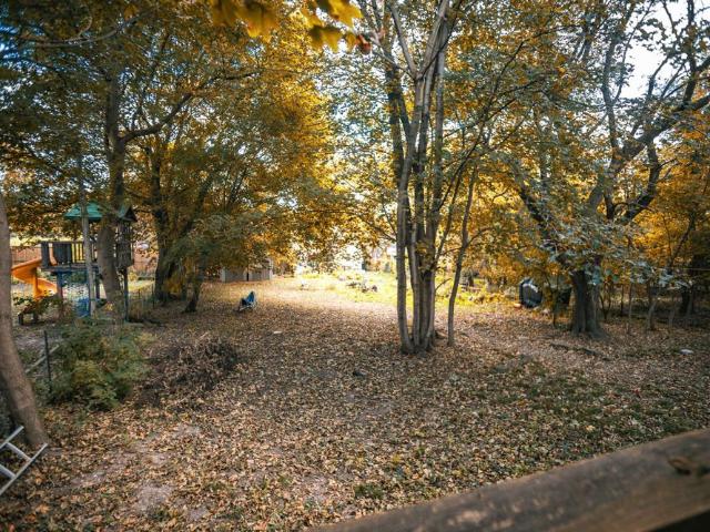 For Lease 129 Elizabeth Street Unit# Main Unit, Guelph, Ontario