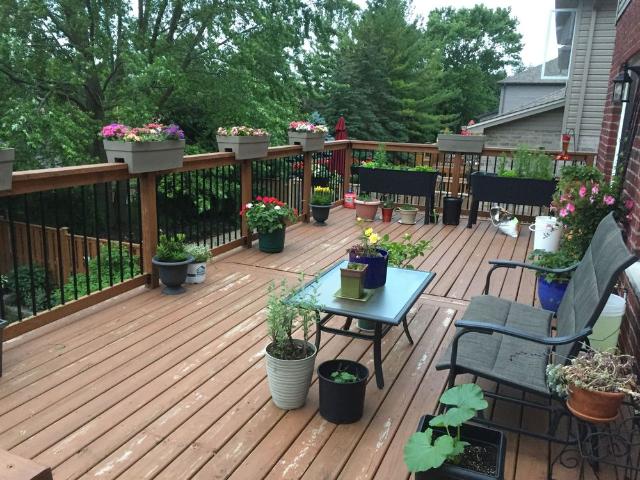 For Lease 1531 Horseshoe Crescent, London North, Ontario