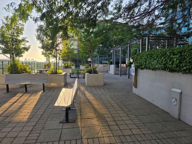For Lease 219 Fort York Boulevard Unit# 619, Toronto, Ontario