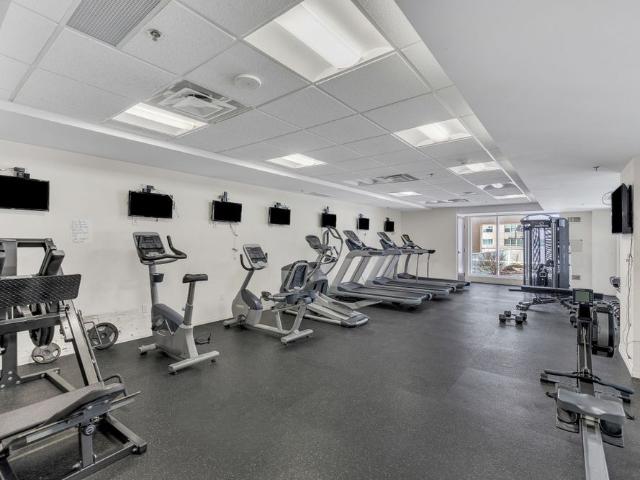 For Lease 242 RIDEAU Street Unit# 506, Lower Town Sandy Hill, Ontario