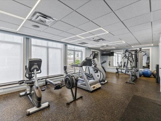 For Lease 319 Telford Trail, Georgian Bluffs, Ontario