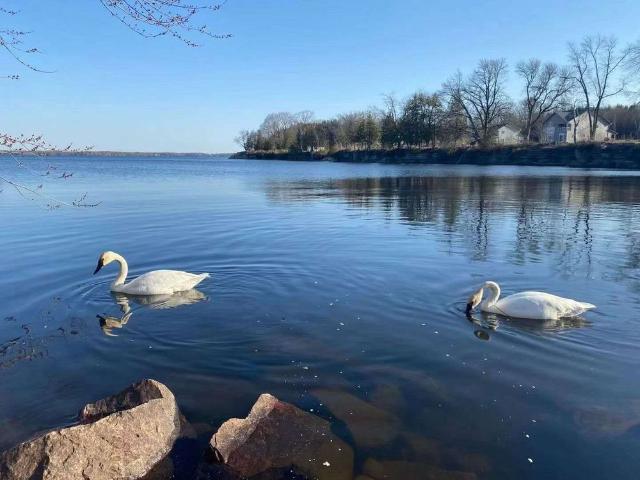 For Lease 3619 Southwood Beach Boulevard, Ramara, Ontario