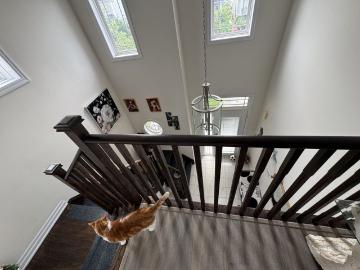 For Lease 51 Dominion Crescent, Niagara on the Lake, Ontario
