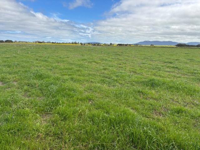 FOR LEASE CROPPING & GRAZING