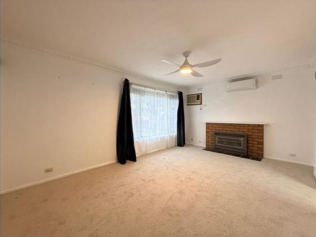 FRESH FAMILY HOME + BUNGALOW!