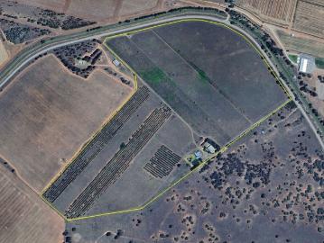 For Sale: Lifestyle Opportunity with Olive Grove & Boutique Vineyard 38.04 HA 94 Acres