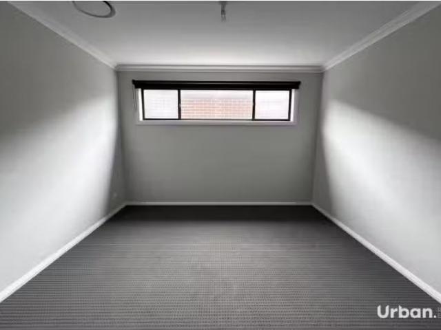 Cozy 43 Binyang Avenue, Glenmore Park House for rent Listed b.