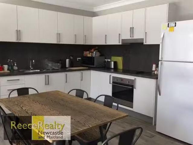 Nice 41B University Drive, Waratah West, NSW 2298