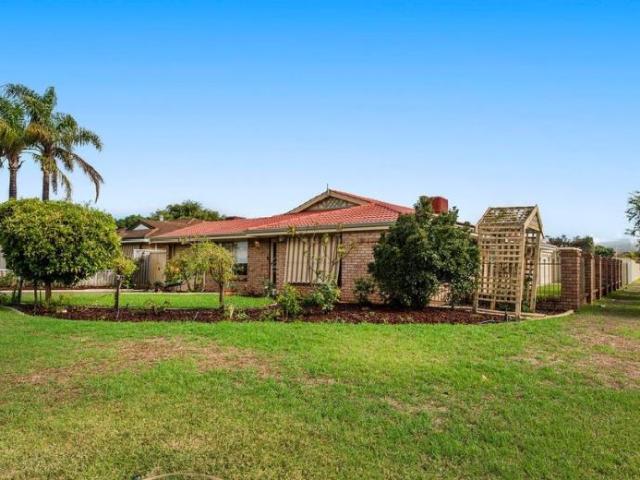 For Rent 4 Bedroom House Cooloongup, WA DS104643456
