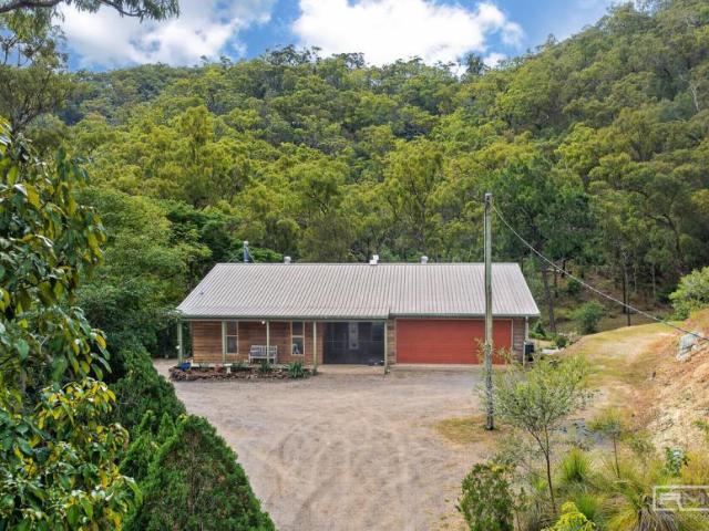 For Rent 4 Bedroom House Cawarral QLD DS102720906