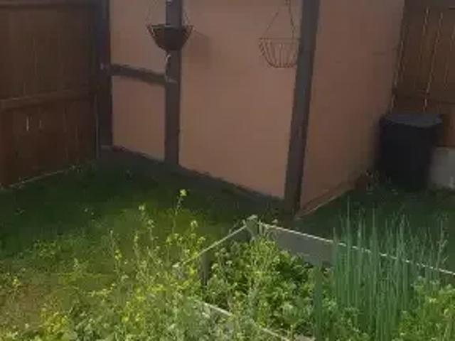 For Rent 4 Bedroom House Calgary AB DS104957446