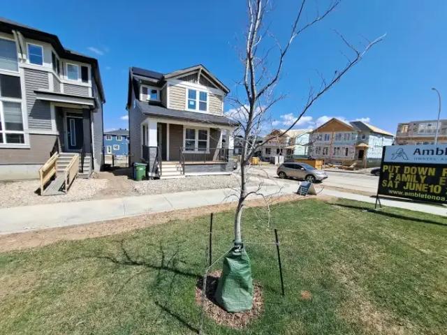 For Rent 4 Bedroom House Calgary AB DS105486117