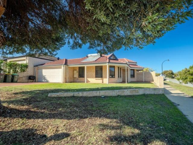 For Rent 4 Bedroom House Clarkson, WA DS104800178