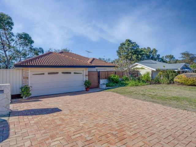 For Rent 4 Bedroom House Clarkson, WA DS104109112