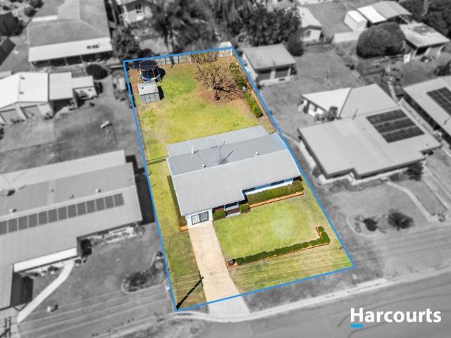 For Rent 4 Bedroom House Avenell Heights QLD DS106004932