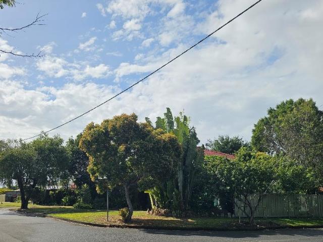 For Rent 4 Bedroom House BOONDALL QLD DS105811573