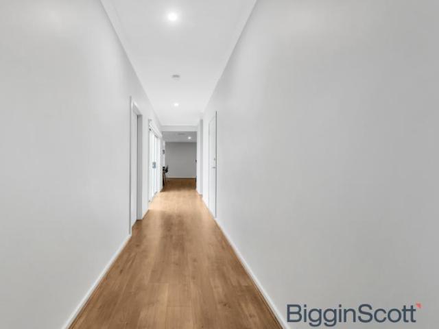 For Rent 4 Bedroom House Bacchus Marsh VIC DS101583414