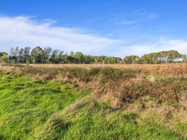 For Rent 4 Bedroom House Badger Creek VIC DS105972706