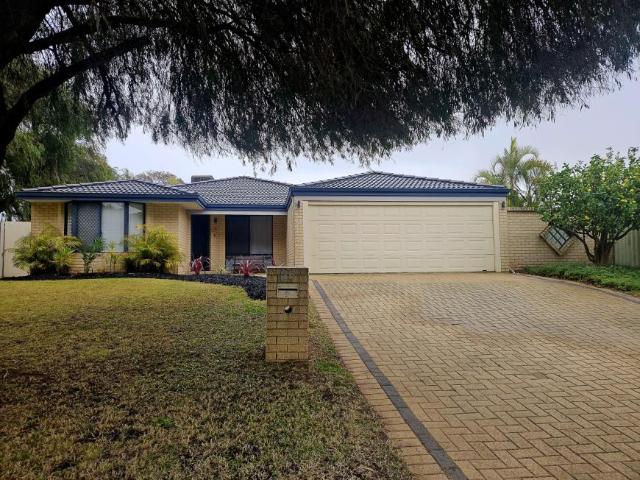 For Rent 4 Bedroom House BEELIAR WA DS104948381