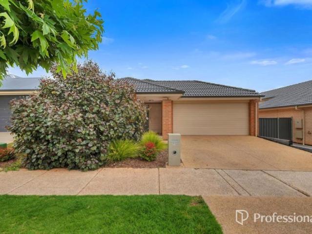 For Rent 4 Bedroom House Blakeview SA DS105990753
