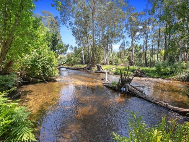 For Rent 4 Bedroom House Buxton VIC DS105972955