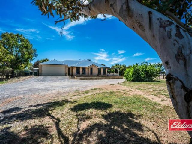 For Rent 4 Bedroom House Deepdale WA DS105943926