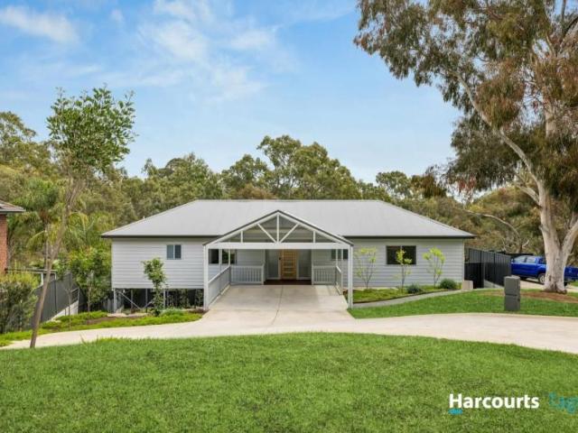 For Rent 4 Bedroom House Flagstaff Hill SA DS106002871