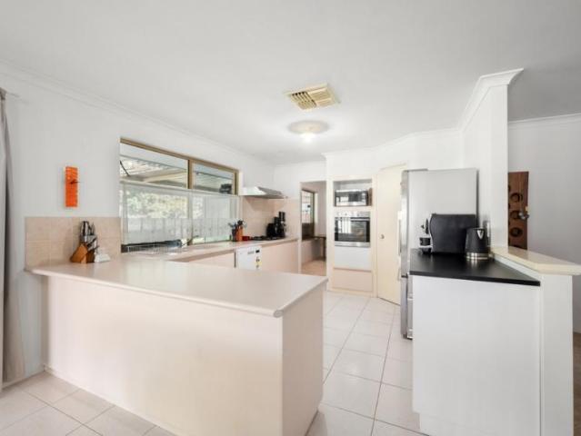 For Rent 4 Bedroom House Kardinya, WA DS103182460