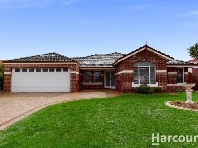 For Rent 4 Bedroom House Iluka WA DS106063828