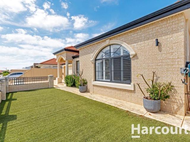 For Rent 4 Bedroom House Iluka WA DS106076565