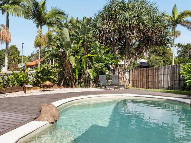 For Rent 4 Bedroom House Mountain Creek QLD DS102251318
