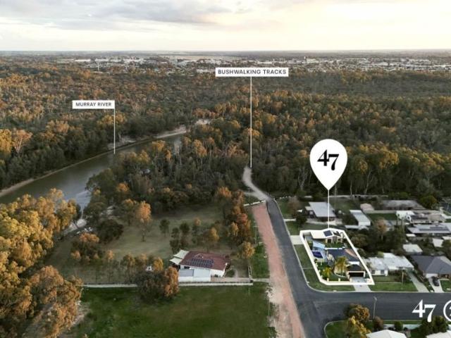 For Rent 4 Bedroom House Moama, NSW DS102760402