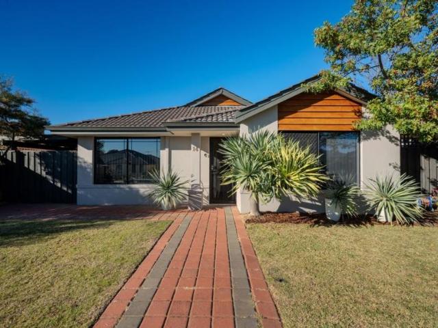 For Rent 4 Bedroom House Mindarie, WA DS103576974