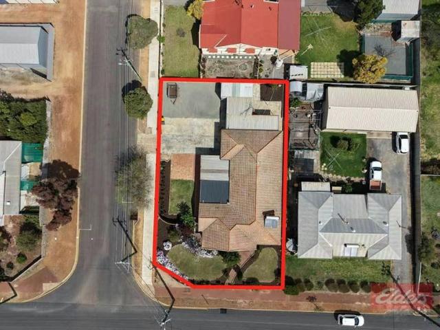 For Rent 4 Bedroom House Narrogin WA DS105932305