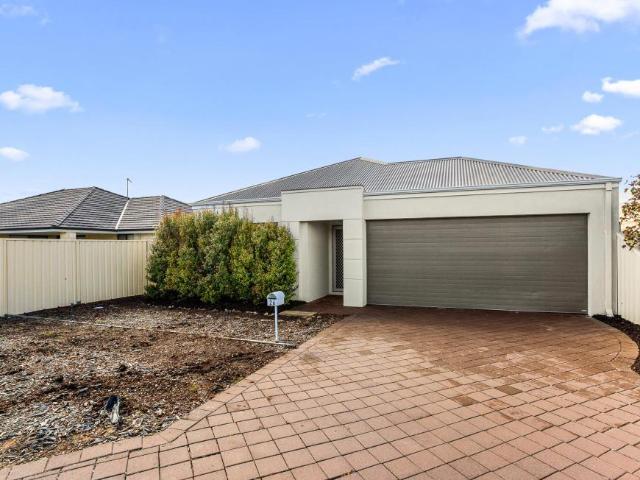 For Rent 4 Bedroom House SINGLETON WA DS105009133